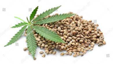 Marijuana Seeds 3