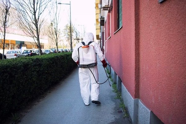 Effective Pest Control Solutions