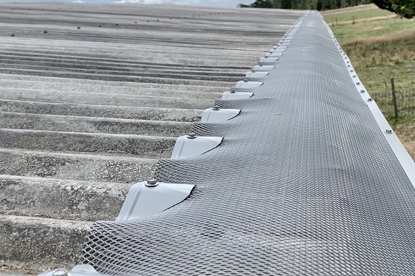 Bird Proofing Gutters from CGS