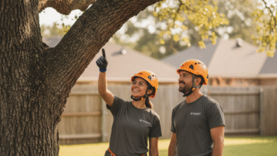 Protecting your trees and property: Understanding arborist insurance benefits