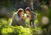 What Does a Baby Osteopath Actually Do