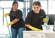 professional home cleaners in Sydney