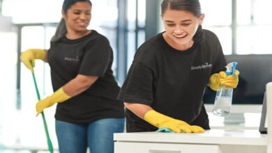 professional home cleaners in Sydney